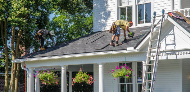 Best Roof Moss and Algae Removal  in Glen Gardner, NJ